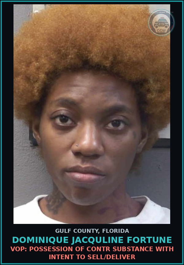 Booking mugshot of DOMINIQUE JACQULINE FORTUNE in Gulf County