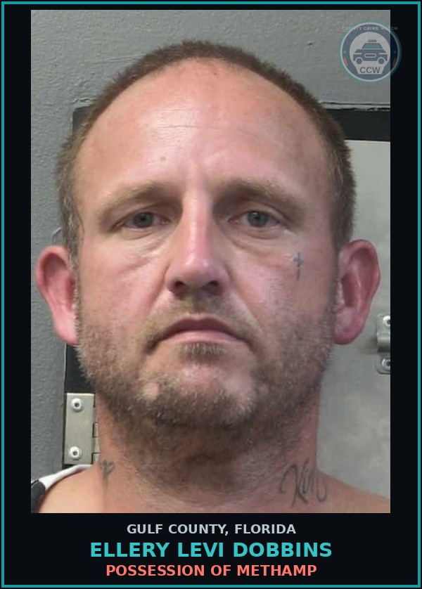 Booking mugshot of ELLERY LEVI DOBBINS in Gulf County
