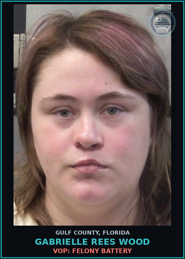 Booking mugshot of GABRIELLE REES WOOD in Gulf County