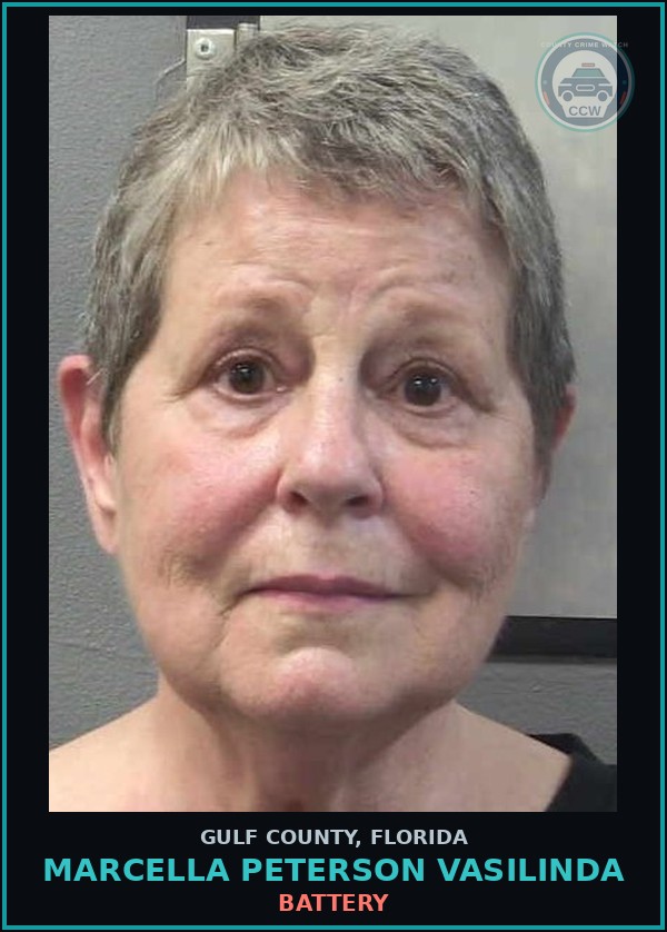 Booking mugshot of MARCELLA PETERSON VASILINDA in Gulf County