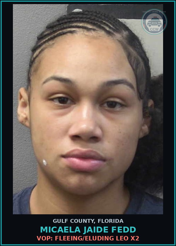 Booking mugshot of MICAELA JAIDE FEDD in Gulf County