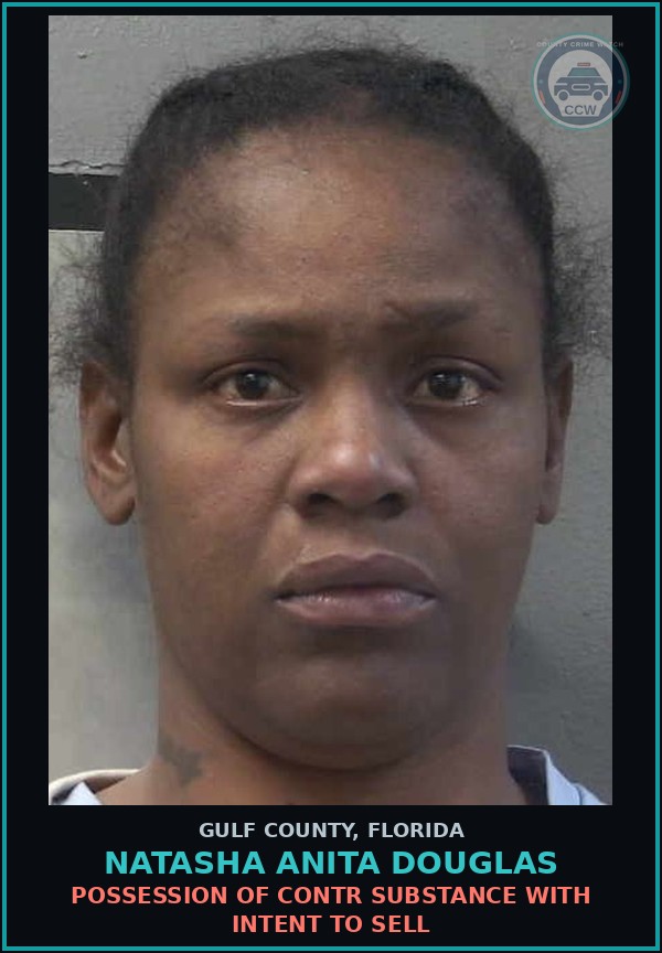 Booking mugshot of NATASHA ANITA DOUGLAS in Gulf County