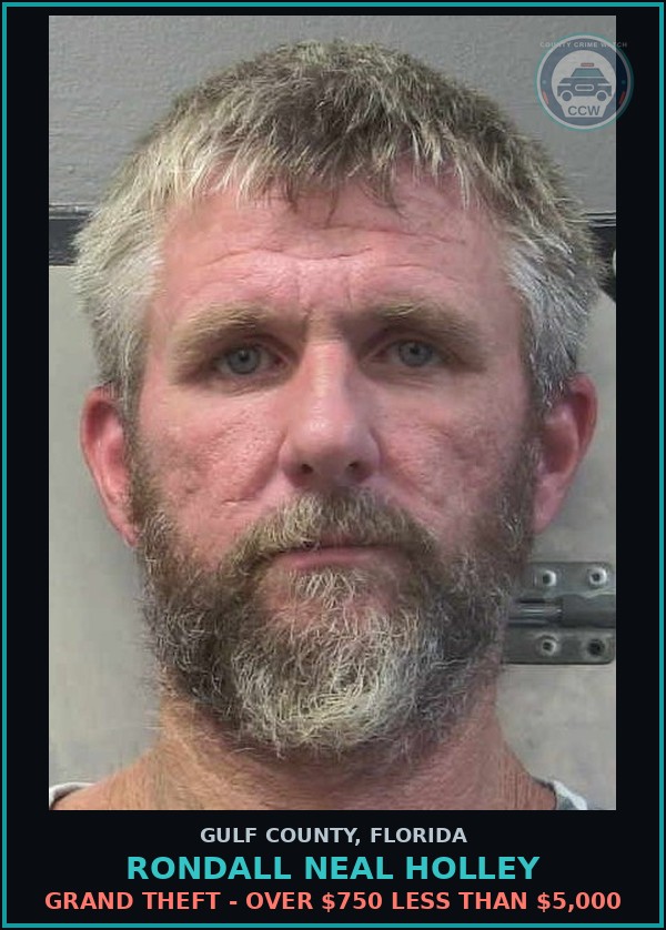 Booking mugshot of RONDALL NEAL HOLLEY in Gulf County