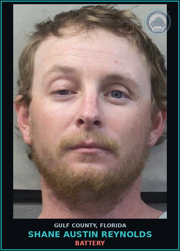 Booking mugshot of SHANE AUSTIN REYNOLDS in Gulf County