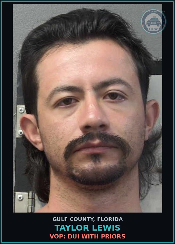 Booking mugshot of TAYLOR LEWIS in Gulf County