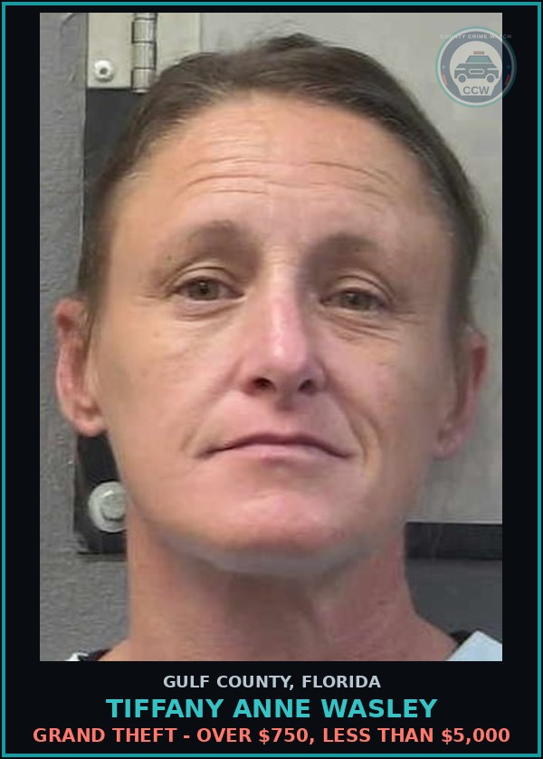 Booking mugshot of TIFFANY ANNE WASLEY in Gulf County