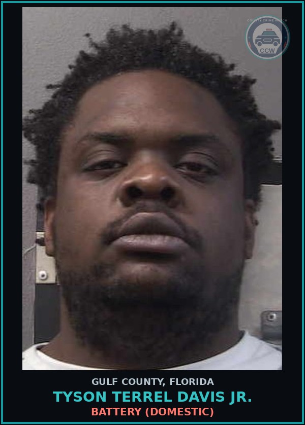 Booking mugshot of TYSON TERREL DAVIS JR. in Gulf County