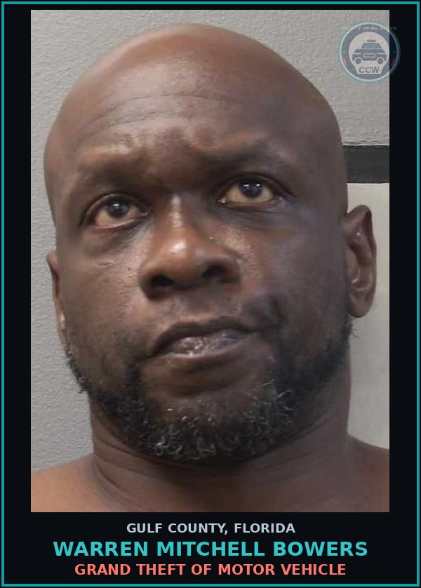 Booking mugshot of WARREN MITCHELL BOWERS in Gulf County