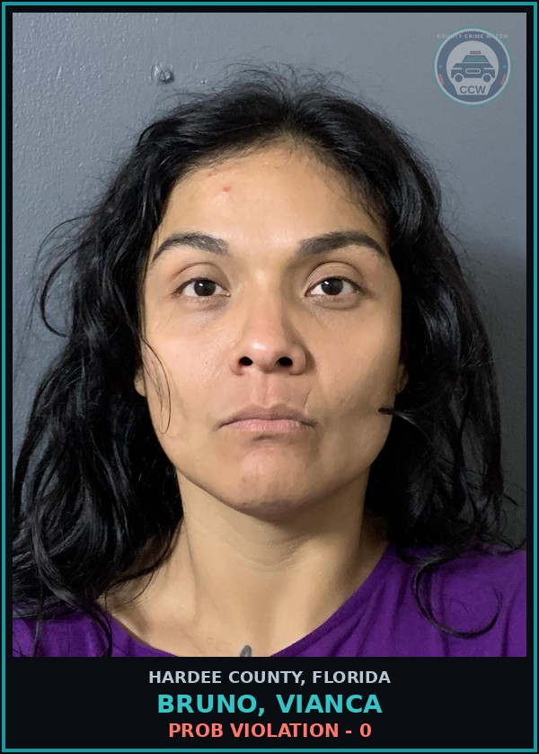 Booking mugshot of Bruno, Vianca in Hardee County