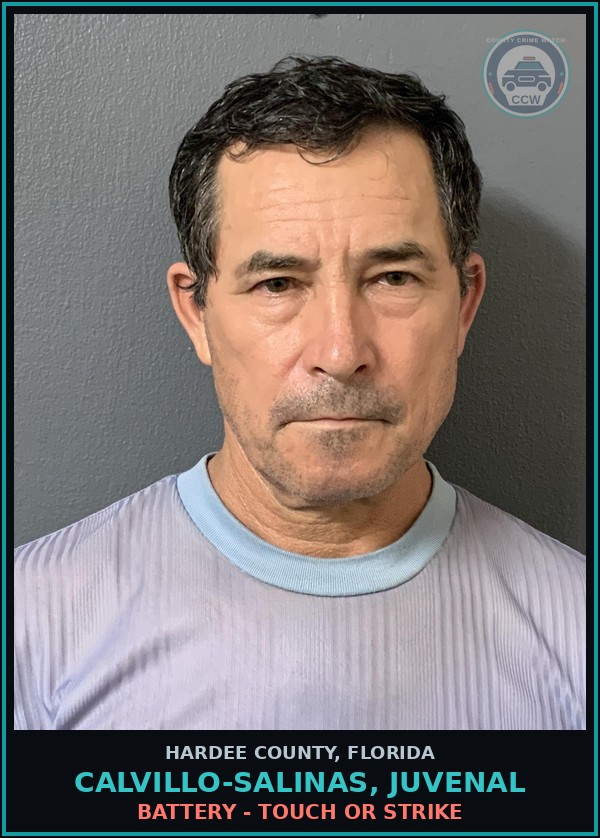 Booking mugshot of Calvillo-Salinas, Juvenal in Hardee County