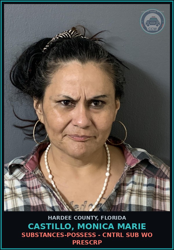 Booking mugshot of Castillo, Monica Marie in Hardee County