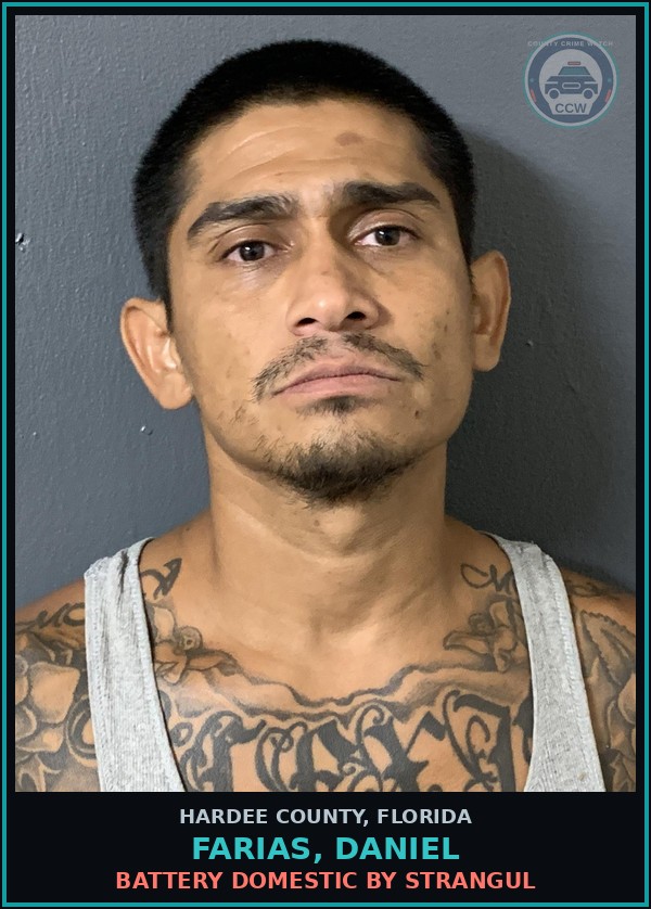 Booking mugshot of Farias, Daniel in Hardee County