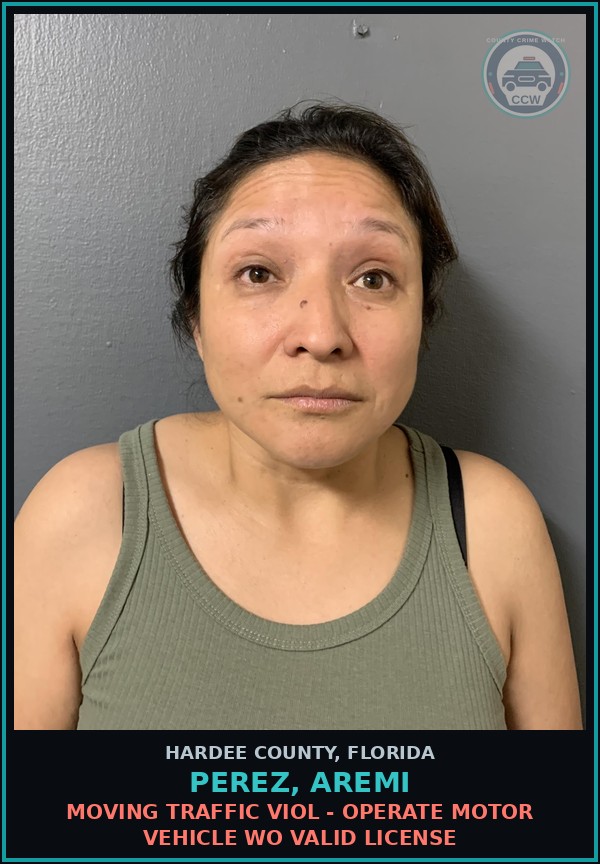 Booking mugshot of Perez, Aremi in Hardee County