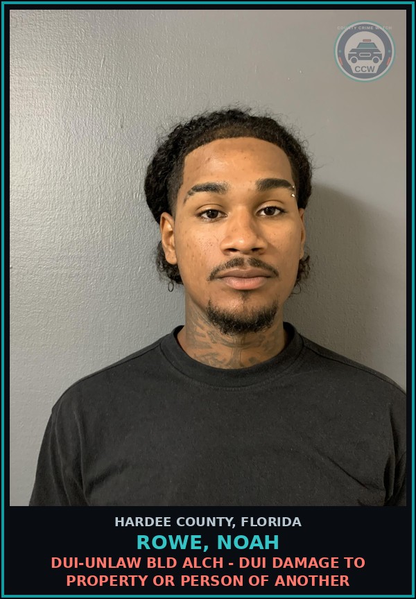 Booking mugshot of Rowe, Noah in Hardee County