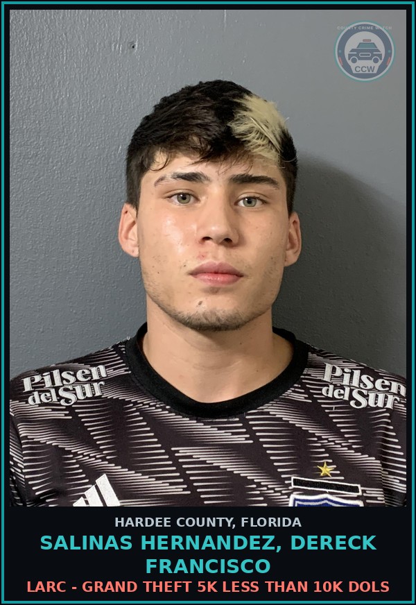 Booking mugshot of Salinas Hernandez, Dereck Francisco in Hardee County