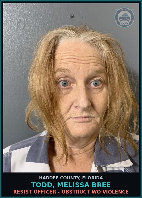 Booking mugshot of Todd, Melissa Bree in Hardee County