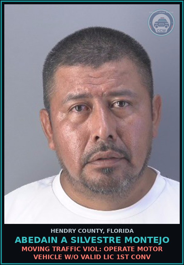 Booking mugshot of ABEDAIN A SILVESTRE MONTEJO in Hendry County