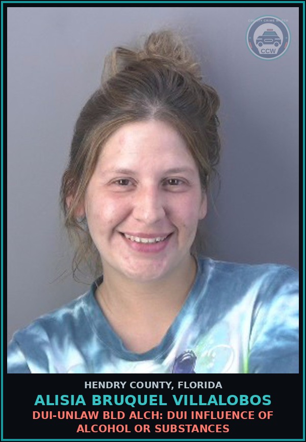 Booking mugshot of ALISIA BRUQUEL VILLALOBOS in Hendry County