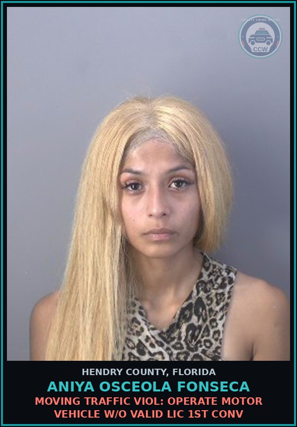 Booking mugshot of ANIYA OSCEOLA FONSECA in Hendry County