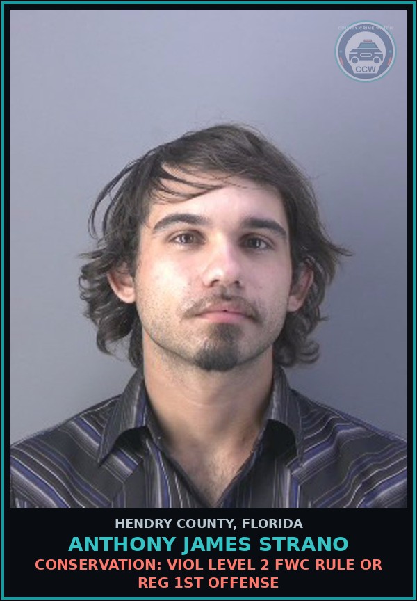 Booking mugshot of ANTHONY JAMES STRANO in Hendry County