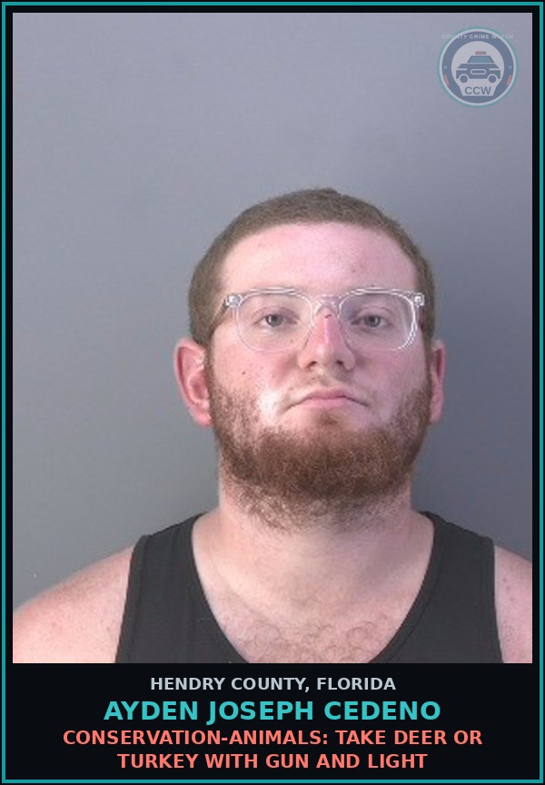 Booking mugshot of AYDEN JOSEPH CEDENO in Hendry County
