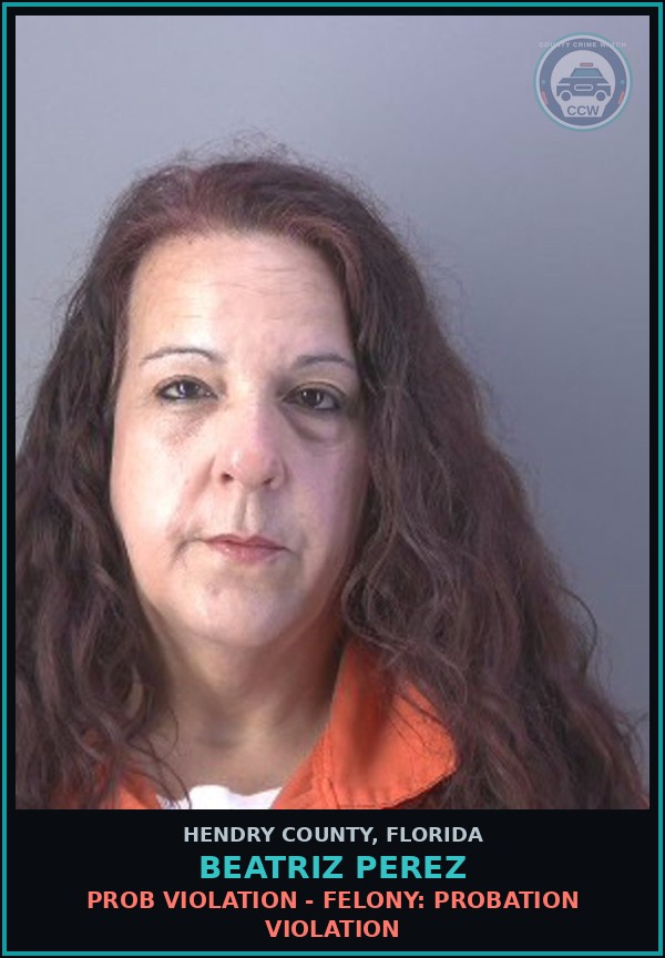 Booking mugshot of BEATRIZ PEREZ in Hendry County