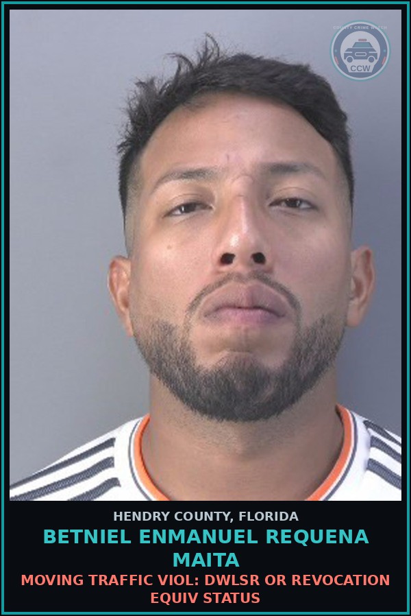 Booking mugshot of BETNIEL ENMANUEL REQUENA MAITA in Hendry County