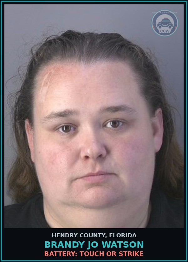 Booking mugshot of BRANDY JO WATSON in Hendry County