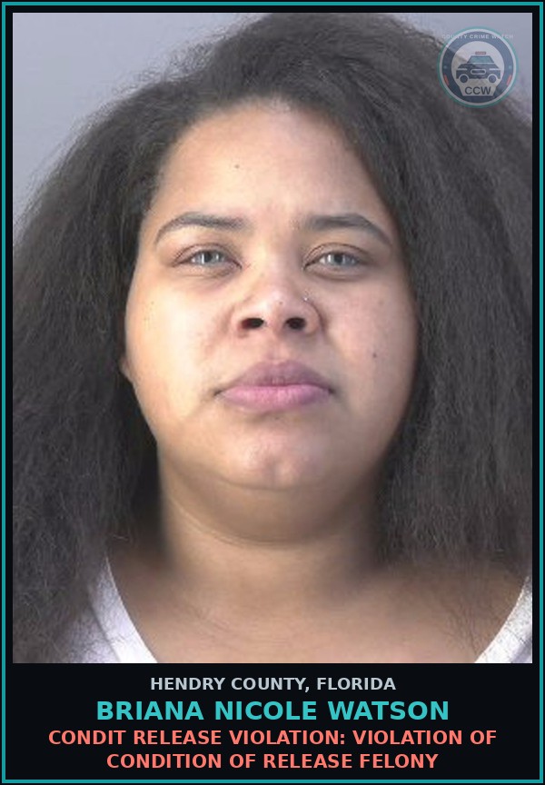 Booking mugshot of BRIANA NICOLE WATSON in Hendry County
