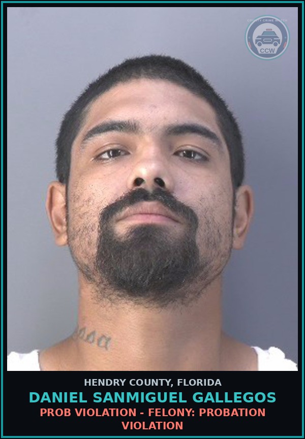 Booking mugshot of DANIEL SANMIGUEL GALLEGOS in Hendry County