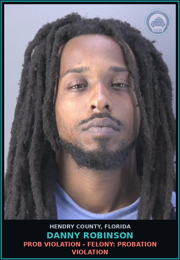 Booking mugshot of DANNY ROBINSON in Hendry County