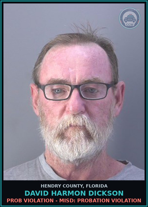 Booking mugshot of DAVID HARMON DICKSON in Hendry County