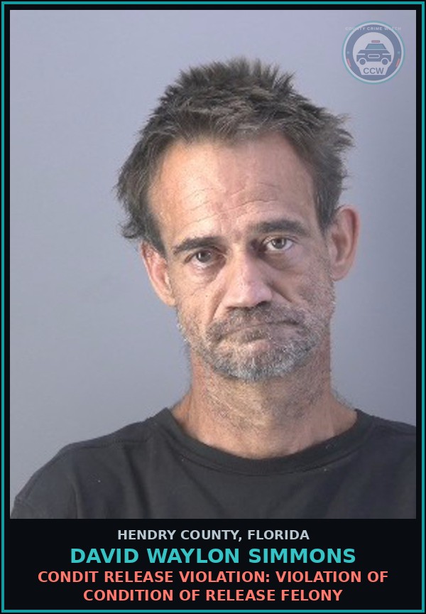 Booking mugshot of DAVID WAYLON SIMMONS in Hendry County