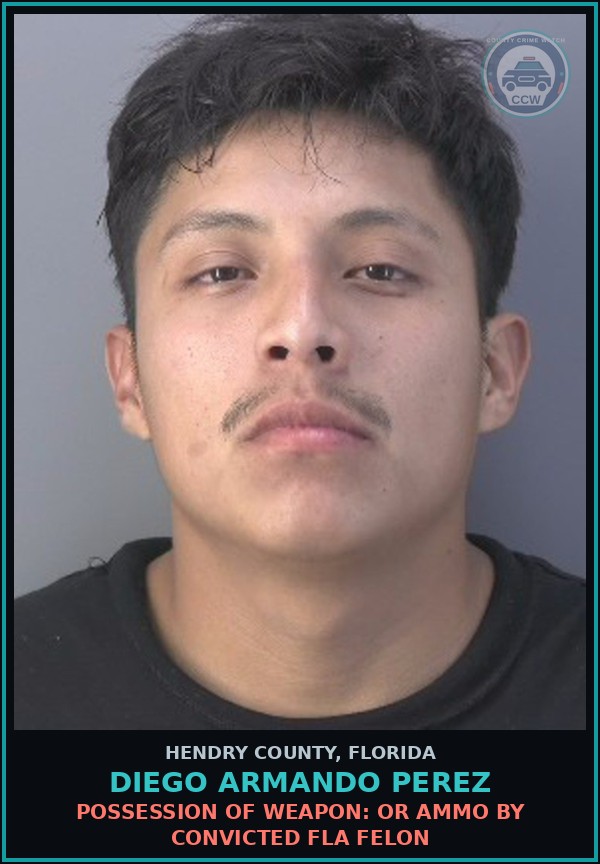 Booking mugshot of DIEGO ARMANDO PEREZ in Hendry County