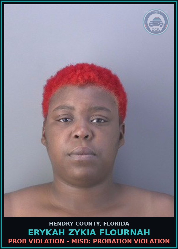 Booking mugshot of ERYKAH ZYKIA FLOURNAH in Hendry County