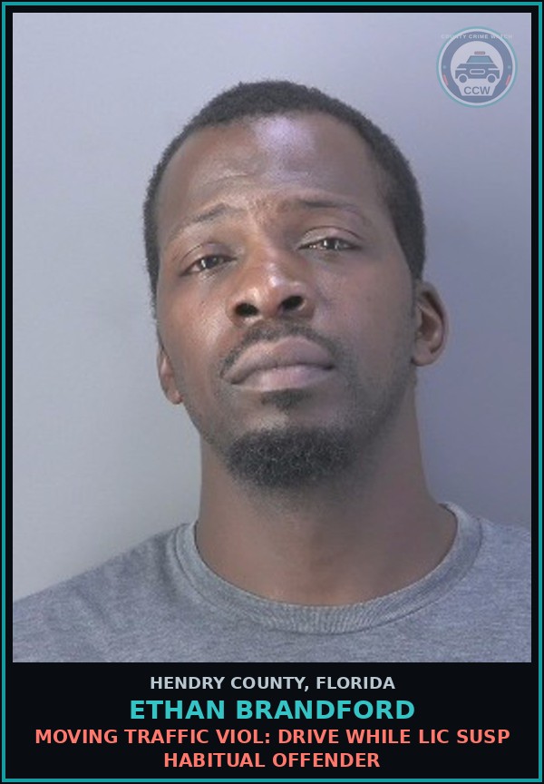 Booking mugshot of ETHAN BRANDFORD in Hendry County