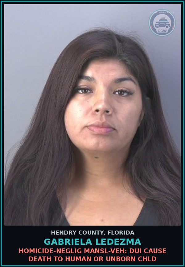 Booking mugshot of GABRIELA LEDEZMA in Hendry County
