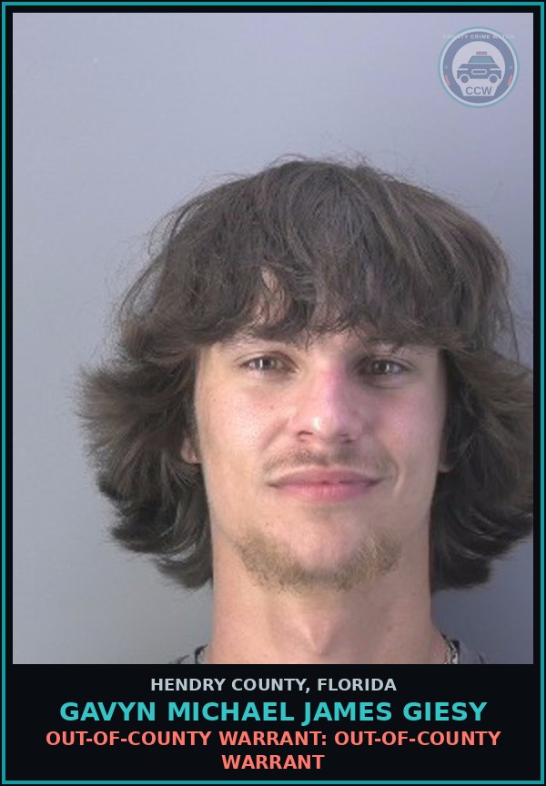 Booking mugshot of GAVYN MICHAEL JAMES GIESY in Hendry County