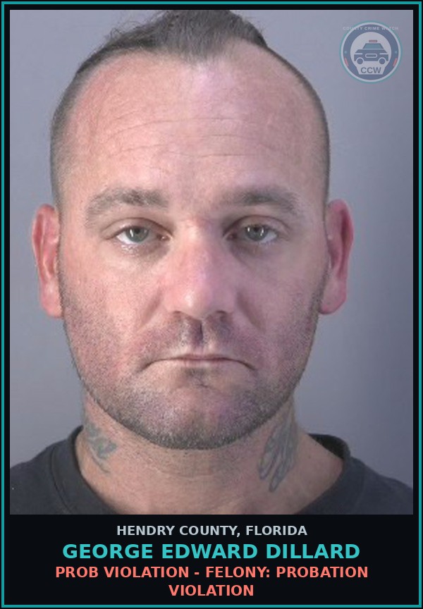 Booking mugshot of GEORGE EDWARD DILLARD in Hendry County