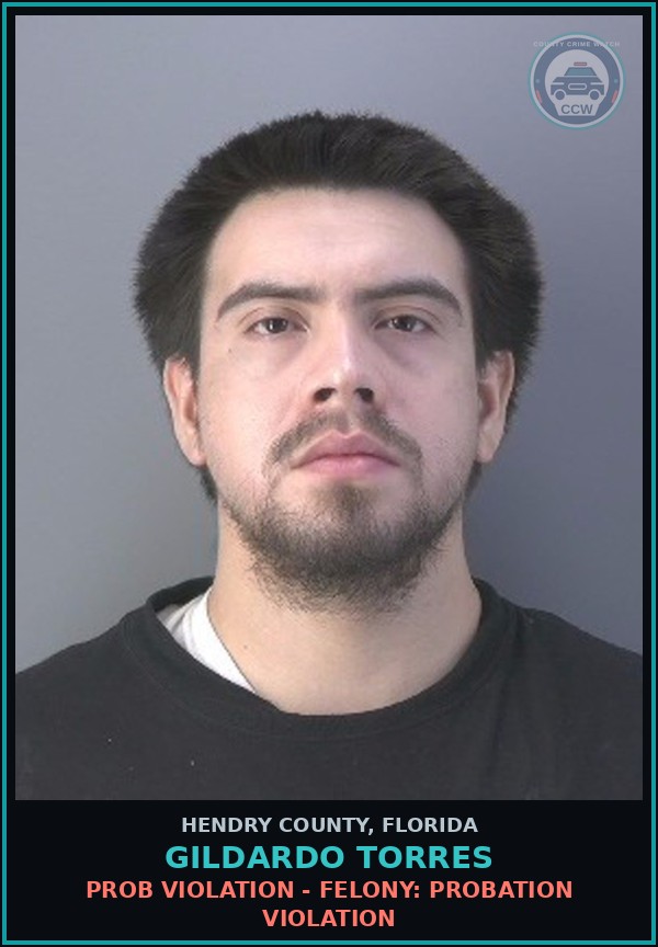 Booking mugshot of GILDARDO TORRES in Hendry County