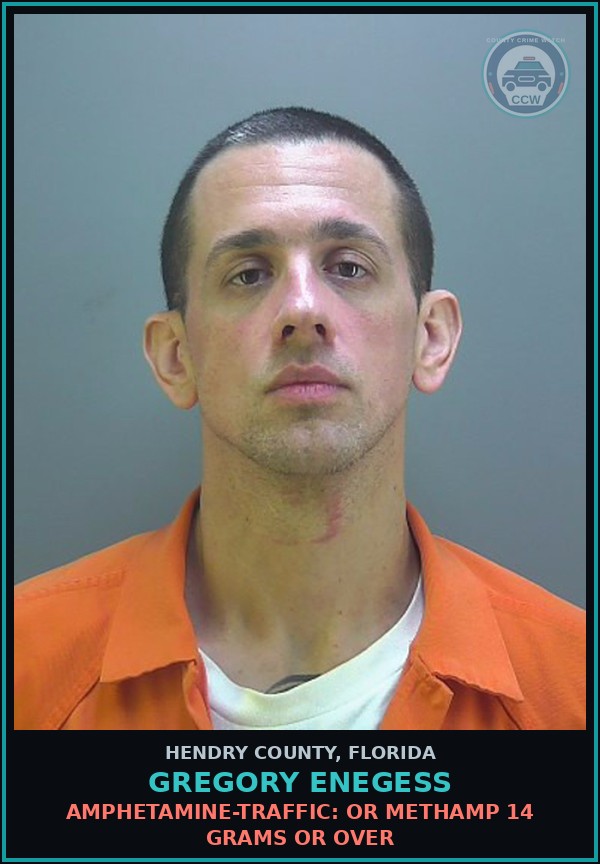 Booking mugshot of GREGORY ENEGESS in Hendry County
