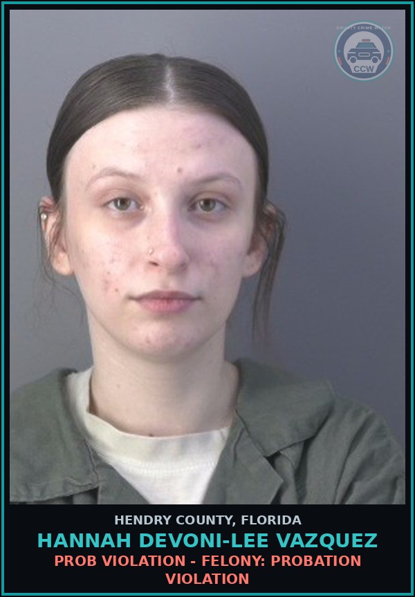Booking mugshot of HANNAH DEVONI-LEE VAZQUEZ in Hendry County
