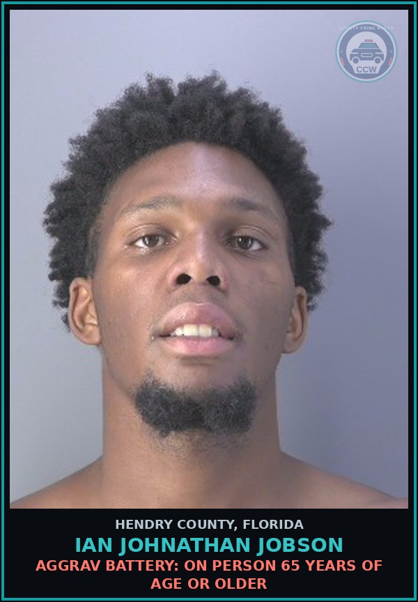 Booking mugshot of IAN JOHNATHAN JOBSON in Hendry County