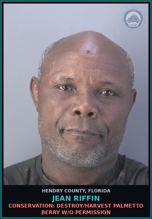 Booking mugshot of JEAN RIFFIN in Hendry County