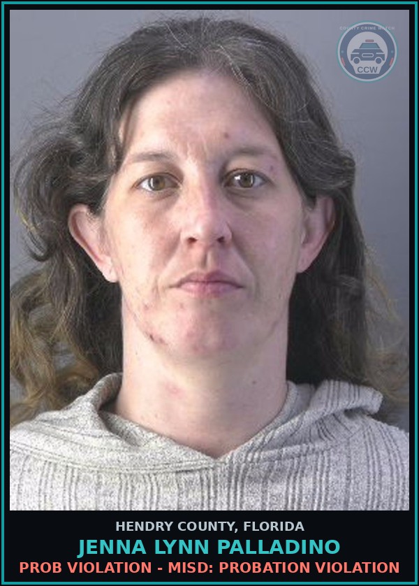 Booking mugshot of JENNA LYNN PALLADINO in Hendry County