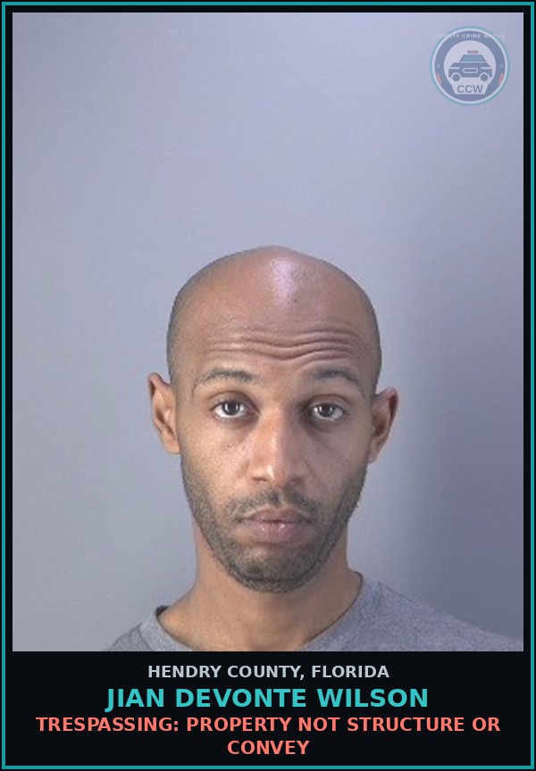 Booking mugshot of JIAN DEVONTE WILSON in Hendry County