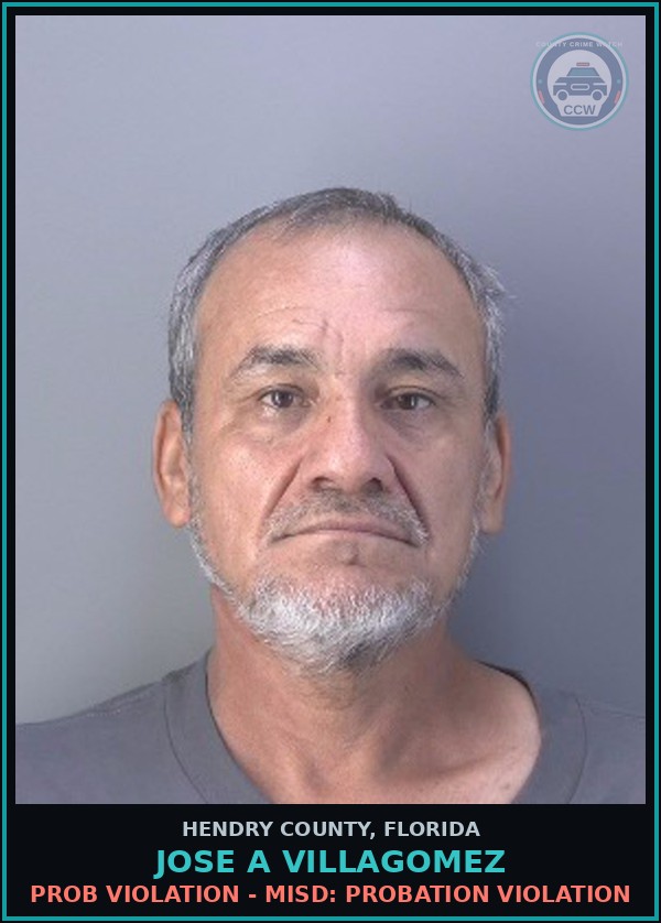 Booking mugshot of JOSE A VILLAGOMEZ in Hendry County