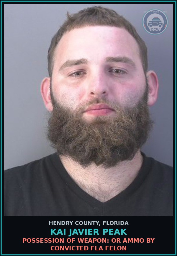 Booking mugshot of KAI JAVIER PEAK in Hendry County