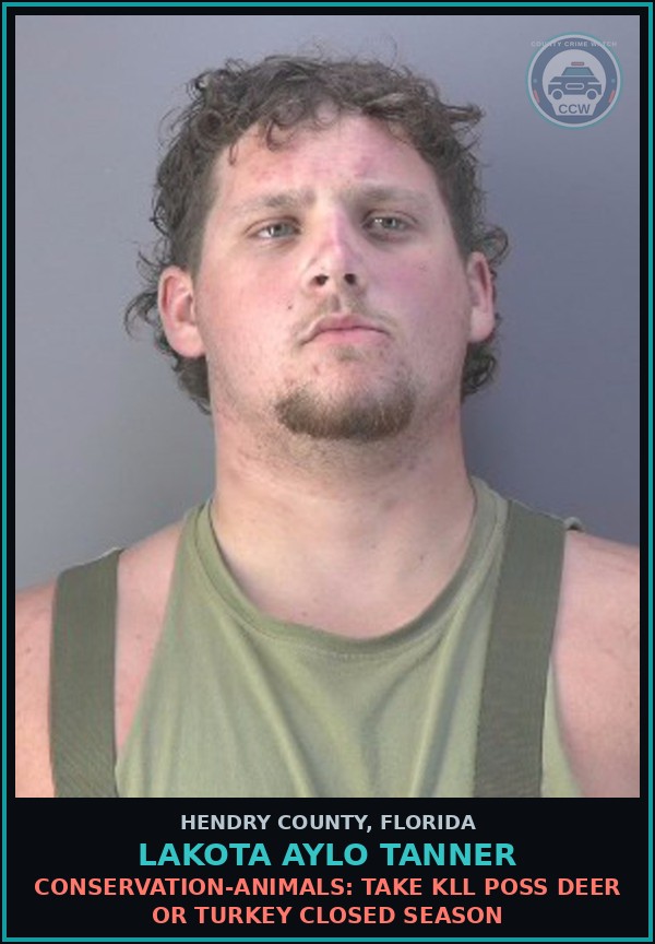 Booking mugshot of LAKOTA AYLO TANNER in Hendry County