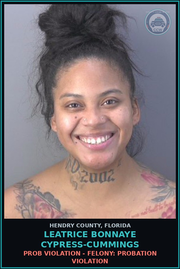 Booking mugshot of LEATRICE BONNAYE CYPRESS-CUMMINGS in Hendry County